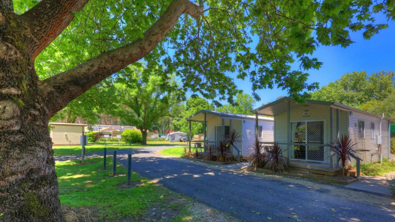 Myrtleford Holiday Park Extérieur photo