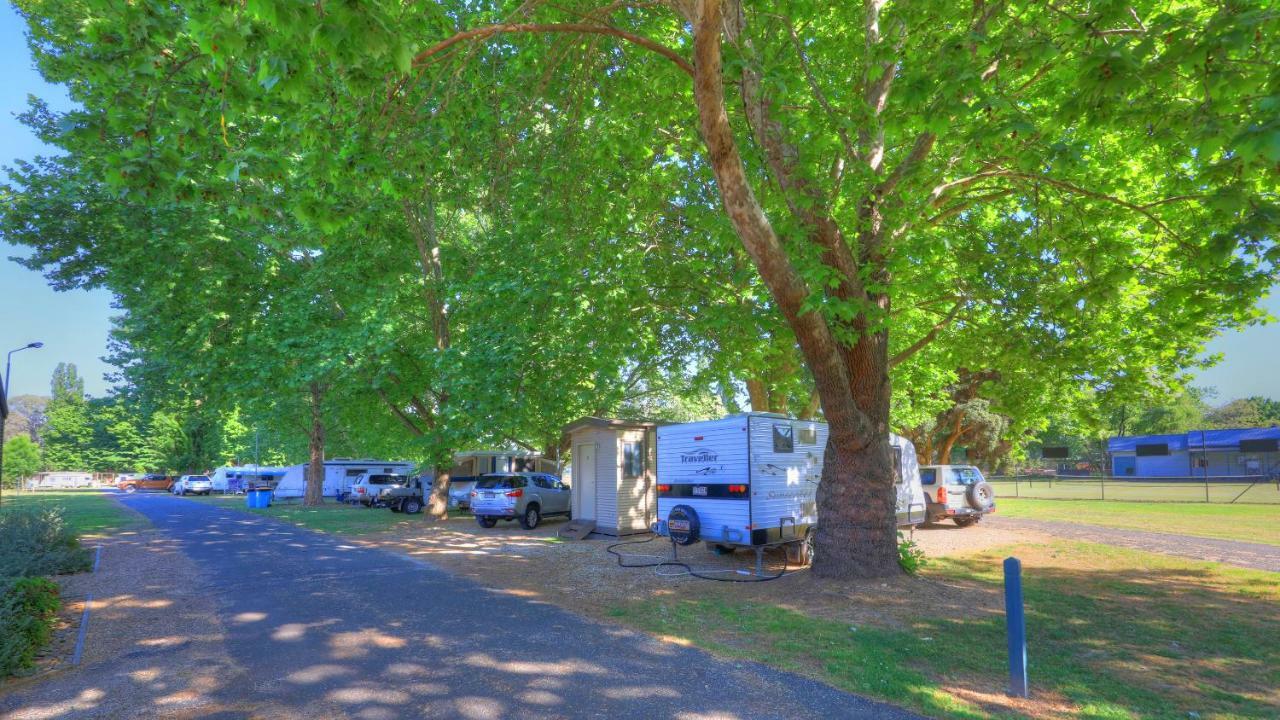 Myrtleford Holiday Park Extérieur photo